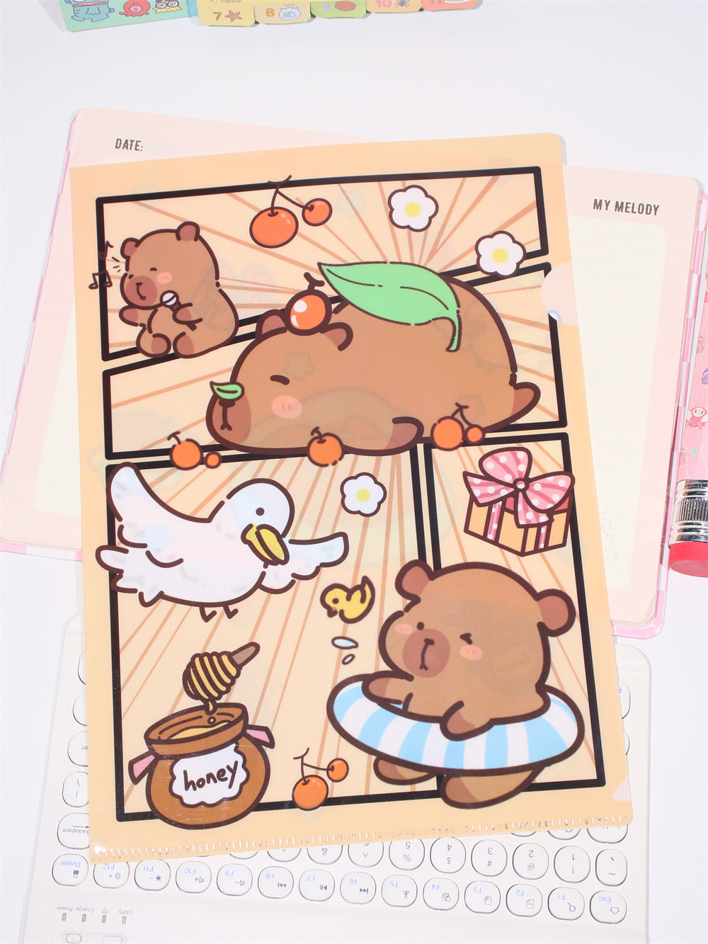 Sanrio L-Shape A4 Large Capacity File Folder